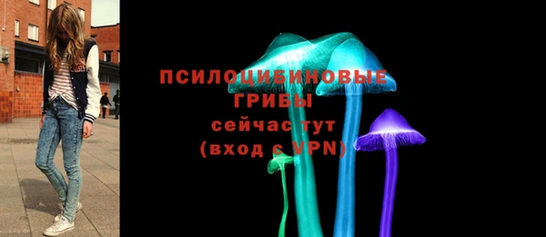 мяу мяу мука Алексин